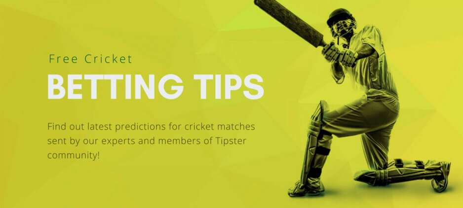Cricket betting tips free in hindi ufc bet calculator