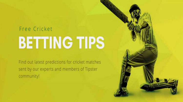 IPL cricket betting tips